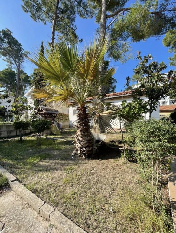 SHITET VILA 1 katshe Vij e 3-te DETIT 📍 Adresa: Golem 📐 Sipërfaqja: 800m² truall / 105m² ndertim 💶 Çmimi: me marrveshje ✅ Karakteristikat: * 2 dhoma gjumi  * E mobiluar totalisht * Kuzhinë e kompletuar * Kondicioner * Tualet  * Dritë natyrale * Dysheme: Pllake * Dokumentacion i rregullt * Investim i ri / i pa banuar më parë Shitet vilë 1-katëshe në Golem Durrës, vetëm disa hapa larg detit, pjesë e një kompleksi rezidencial vilash të qeta dhe të mirëadministruara