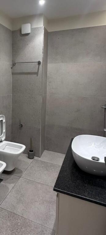 Apartament me qera 1+1