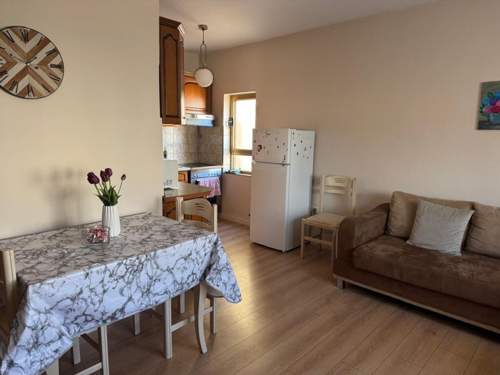 Apartament per qira 1+1 Mine Peza