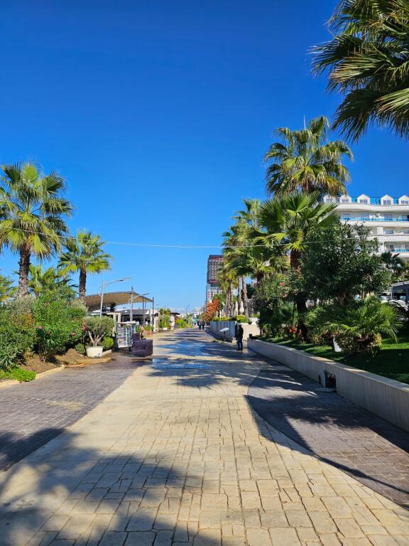 AMBIENT BIZNESI NE SHITJE, BUZE DETIT, SHKEMBI I KAVAJES