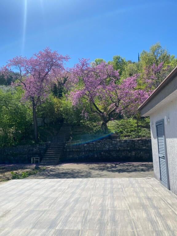 TERRENO+ CASA IN VENDITA A VISHNJE