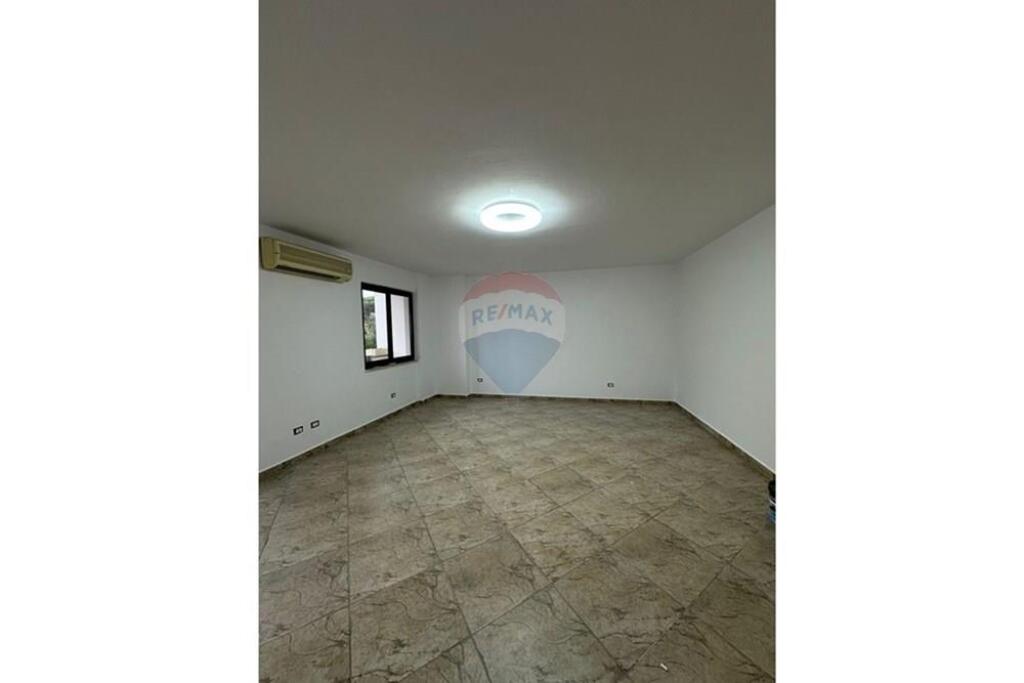 AMBJENT ZYRE PER QIRA, STADIUMI AIR ALBANIA !