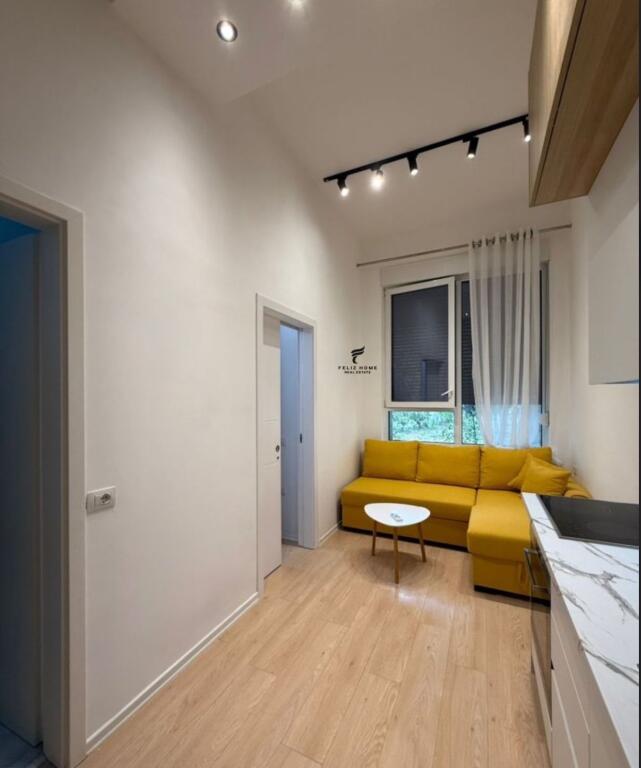 APARTMENT FOR RENT 1+1 21 DECEMBER 500 EURO