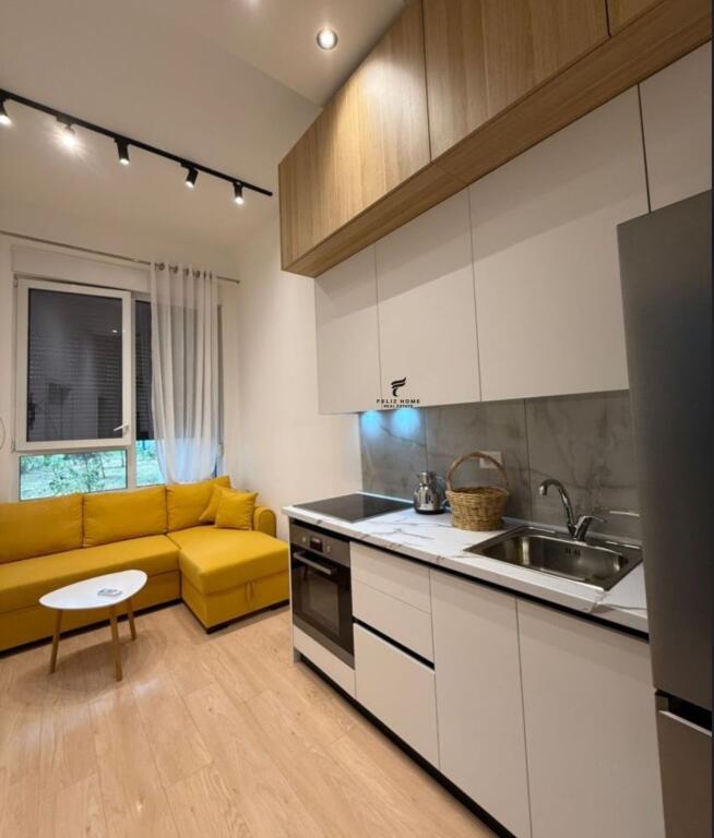 APARTMENT FOR RENT 1+1 21 DECEMBER 500 EURO