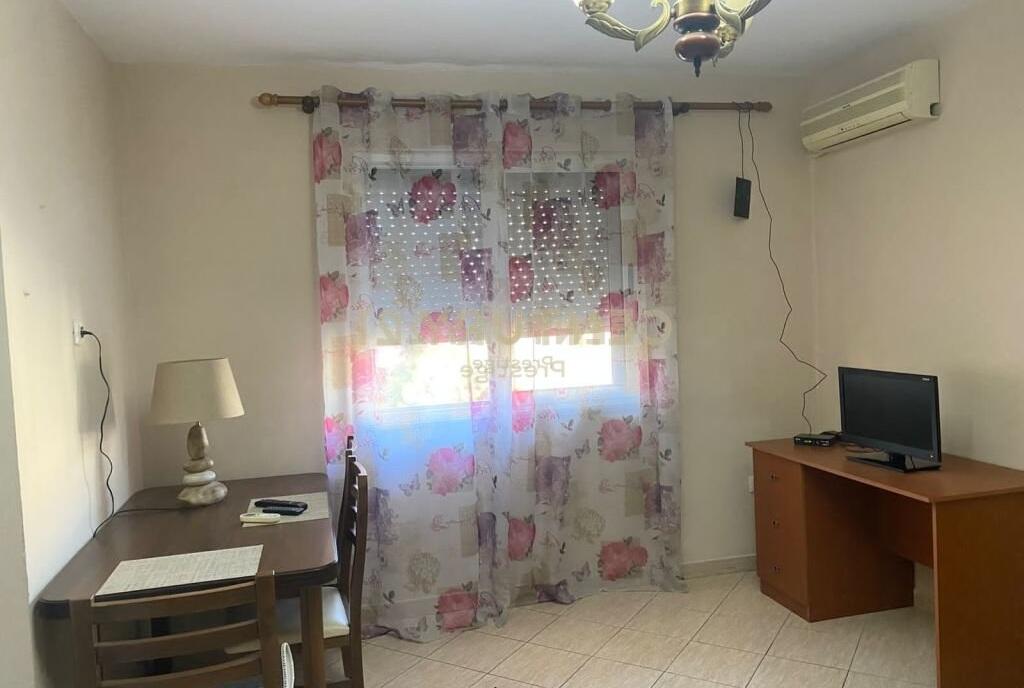 Apartament me qira 1+1, Ali Demi