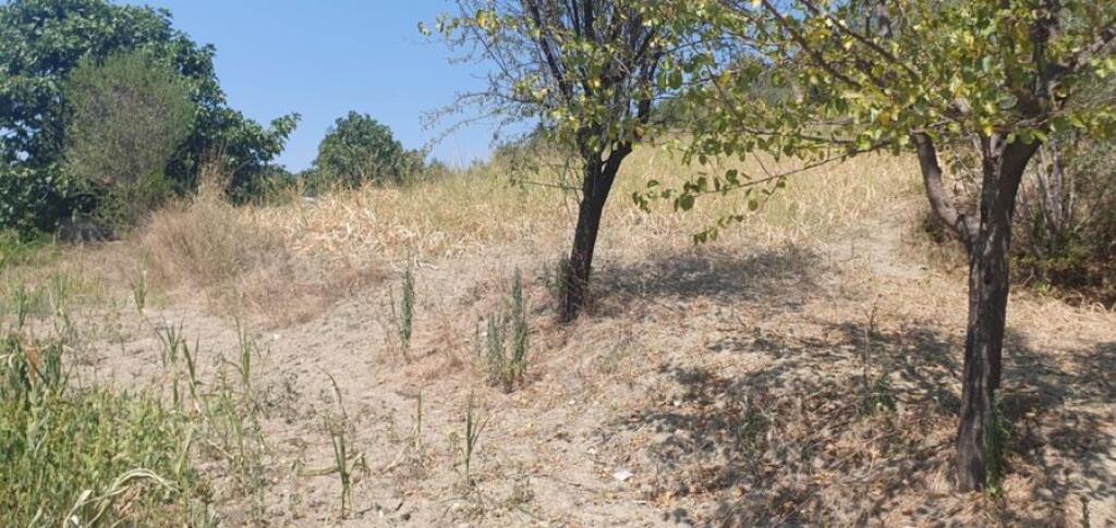 VECCHIA CASA CON TERRENO E TERRA