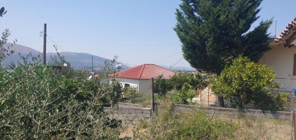 VECCHIA CASA CON TERRENO E TERRA