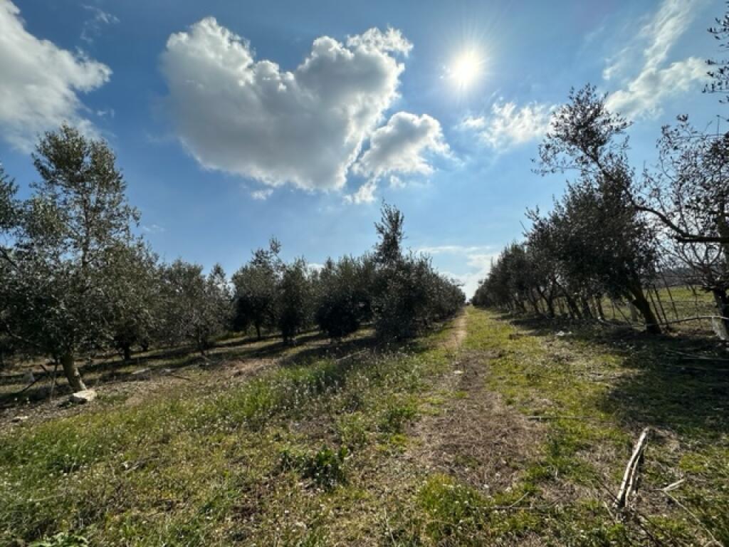1 hectare of land for sale in Metoq