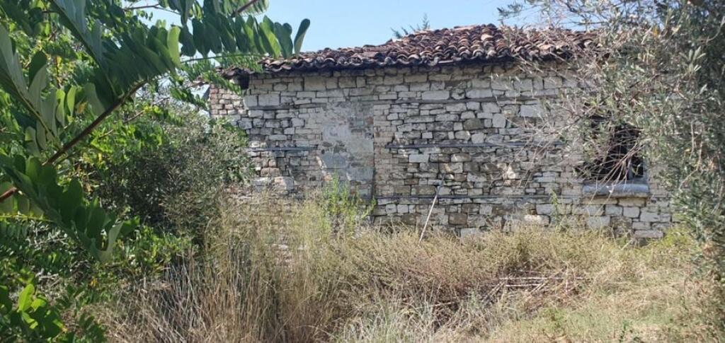 VECCHIA CASA CON TERRENO E TERRA