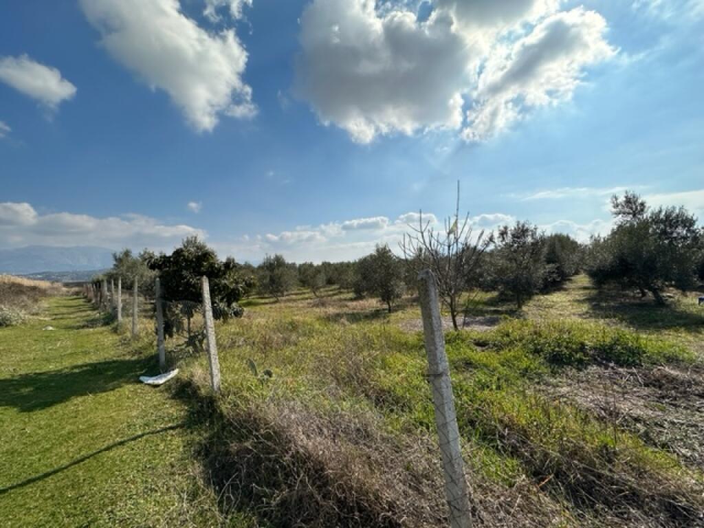 1 hectare of land for sale in Metoq