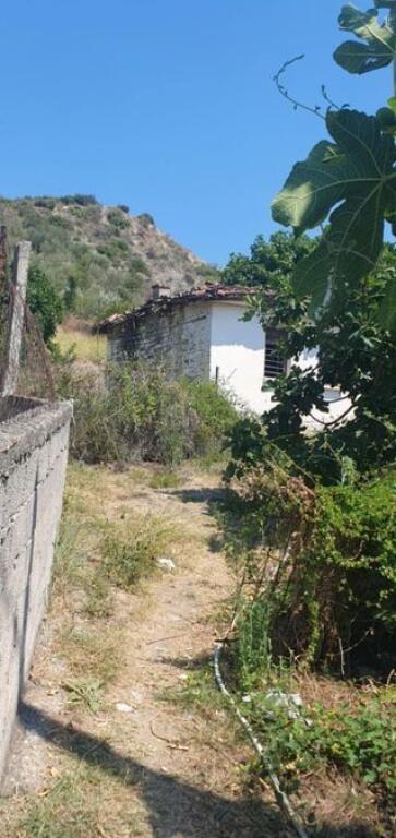 VECCHIA CASA CON TERRENO E TERRA