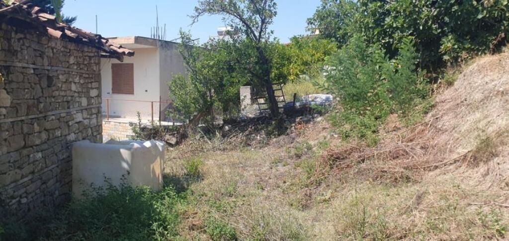 VECCHIA CASA CON TERRENO E TERRA