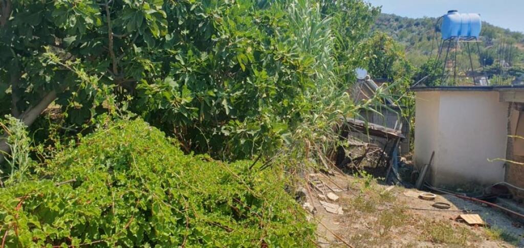 VECCHIA CASA CON TERRENO E TERRA