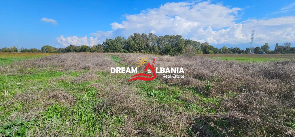 Toke ne Shitje ne Berxull, rruges se vjeter per Rinas (ID 4191189)