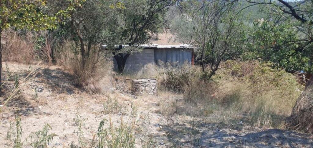 VECCHIA CASA CON TERRENO E TERRA
