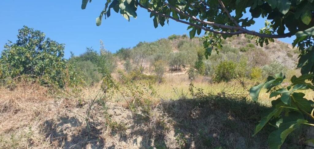 VECCHIA CASA CON TERRENO E TERRA