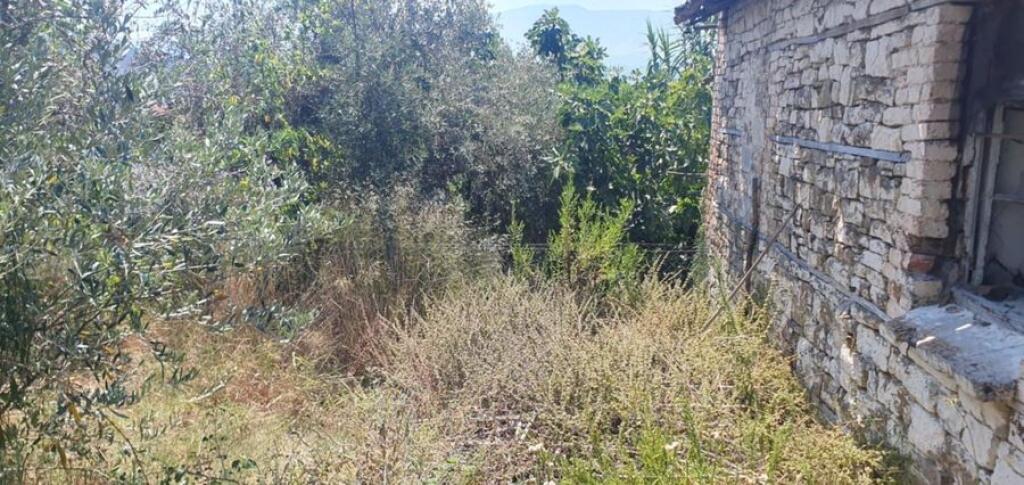 VECCHIA CASA CON TERRENO E TERRA