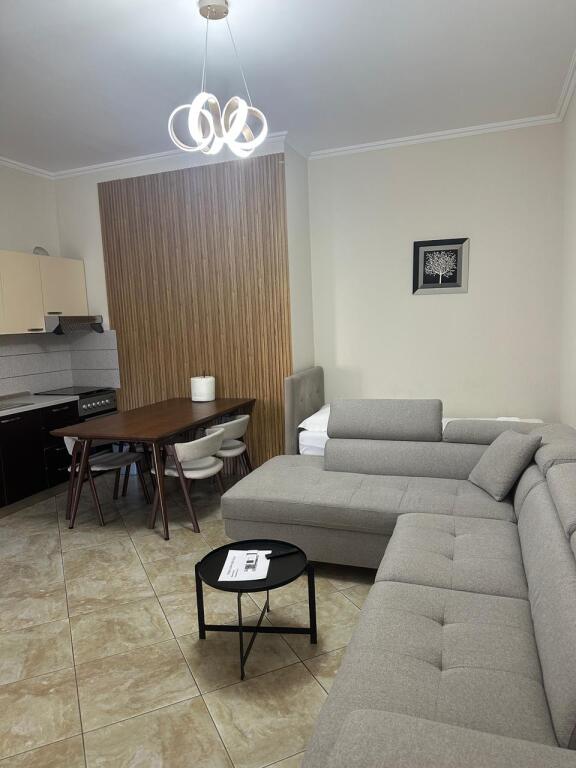 APARTMENT FOR RENT 1+1 VASIL SHANTO 500 EURO