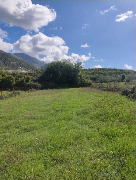 Land for sale at the Sanatorium!
