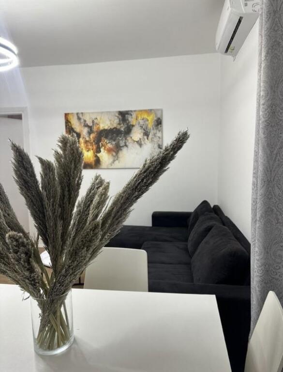 Jepet me qera apartament 1+1 tek Sheshi Willson
