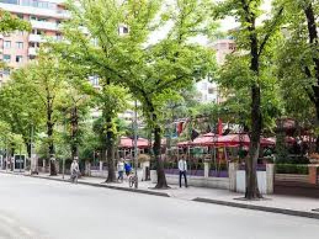 Ambjent per zyra me qira, Rruga Brigada VIII, "Bllok" - 130 m2