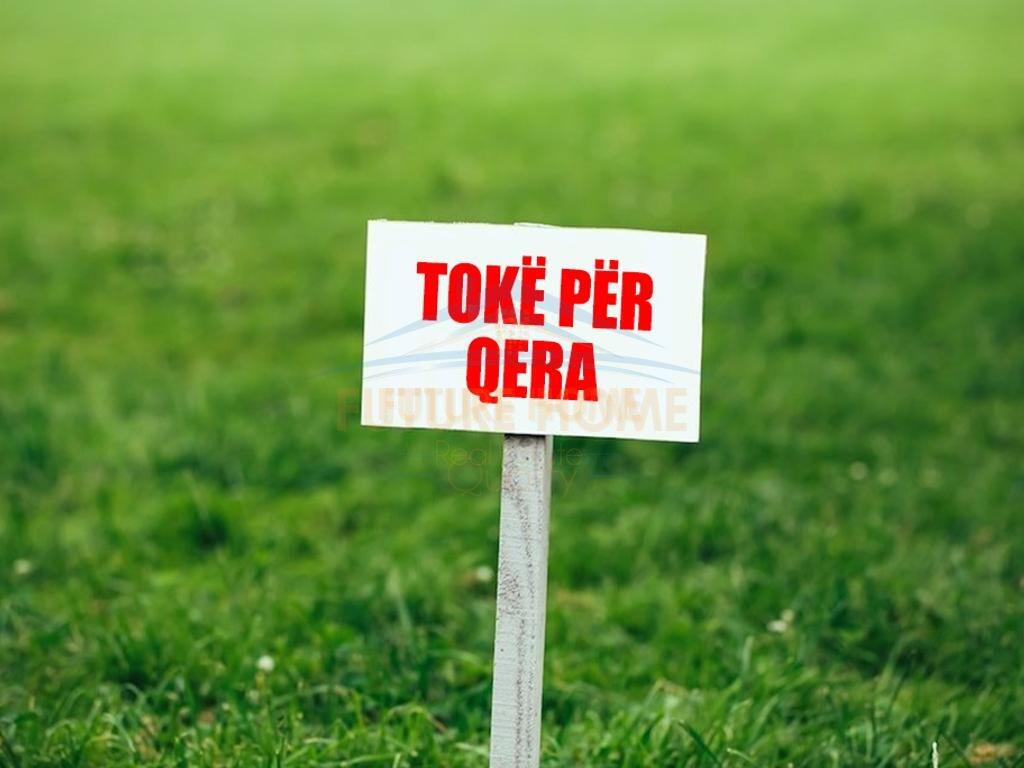 Qera, Toke, Rinas