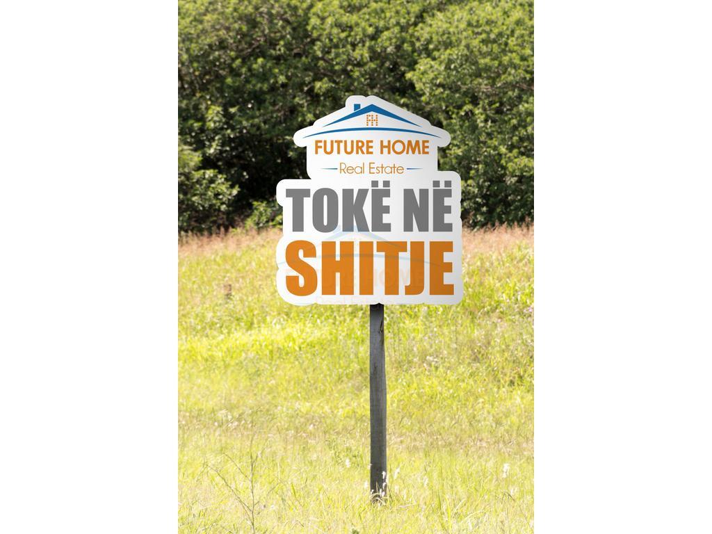 Tokë, Qerret, Kavajë.