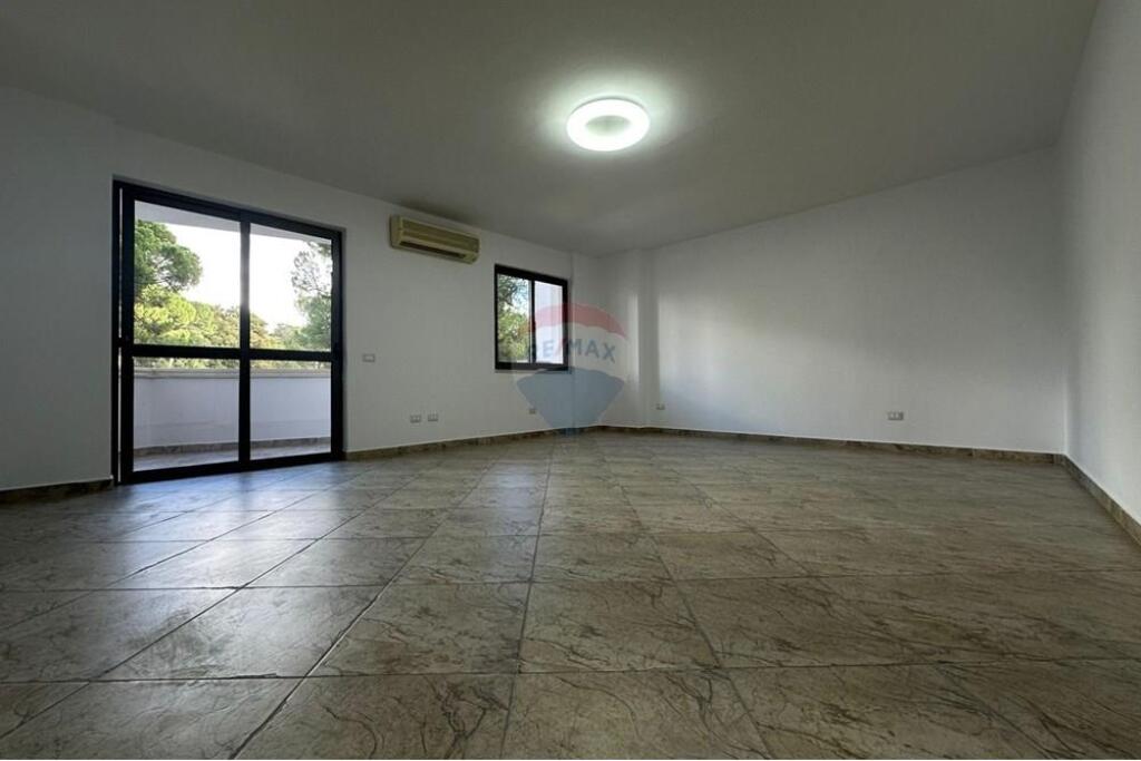 AMBJENT ZYRE PER QIRA, STADIUMI AIR ALBANIA !