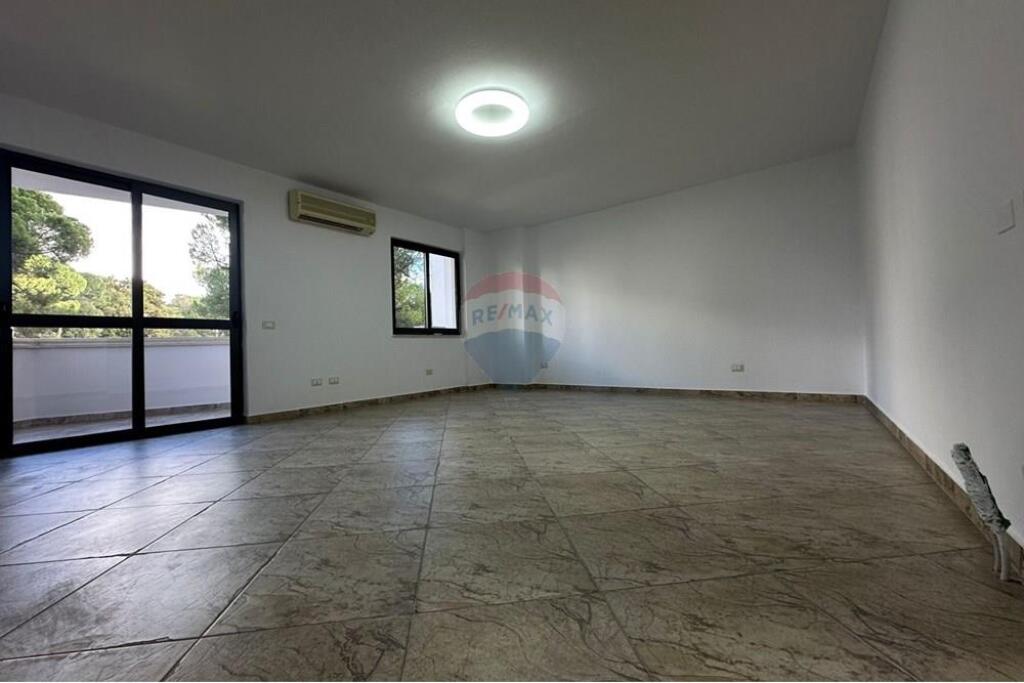 AMBJENT ZYRE PER QIRA, STADIUMI AIR ALBANIA !