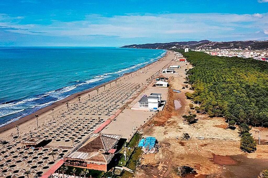 TOKE PER SHITJE NE SPILLE