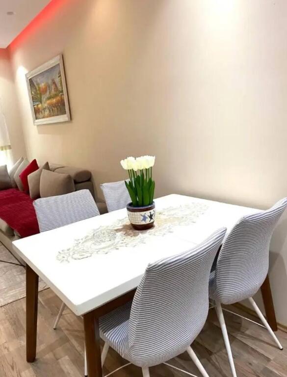 Ali Demi Apartament 2+1 Me Qera