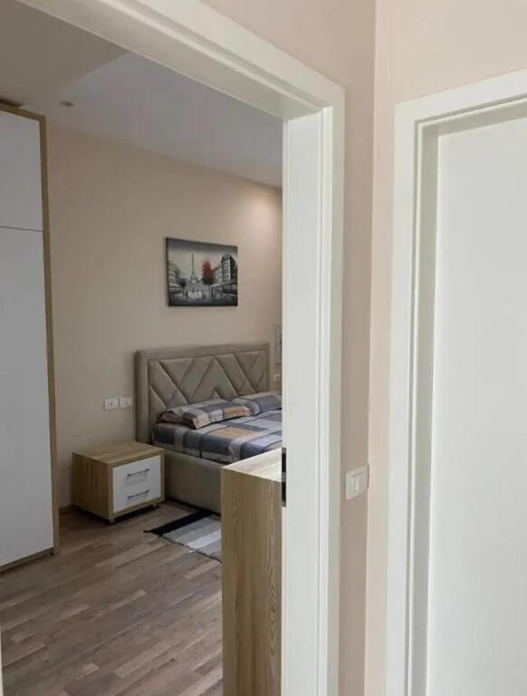 Ali Demi Apartament 2+1 Me Qera