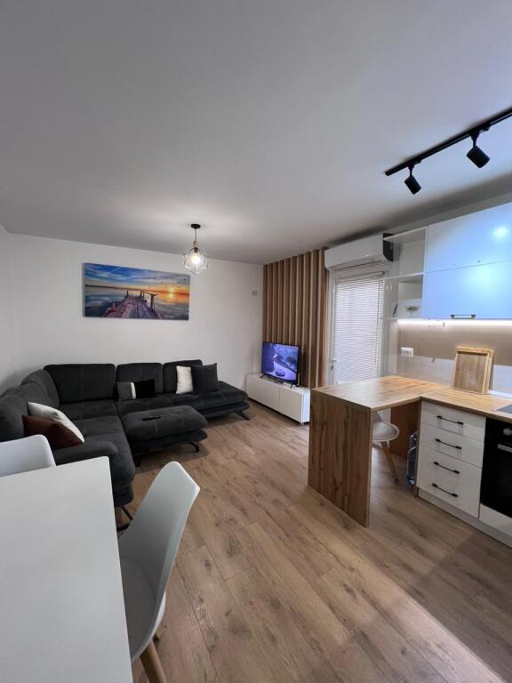 APARTMENT 1+1 FOR RENT NEAR THE BALLET SCHOOL