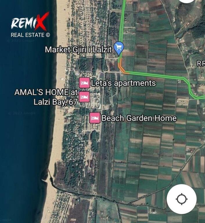 GJIRI  LALEZIT  , SHITET  TOKE  