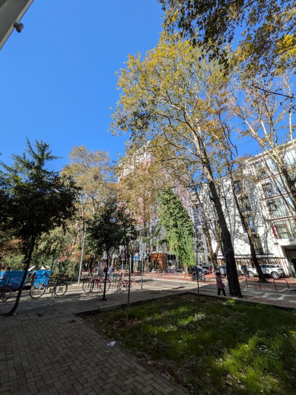 Business premises for rent with an area of 292m/2, at the Artistic High School!