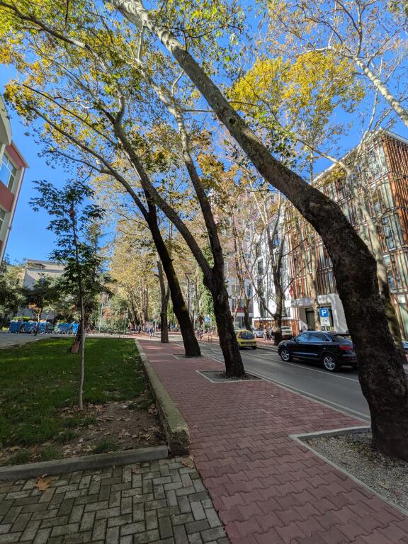 Business premises for rent with an area of 292m/2, at the Artistic High School!