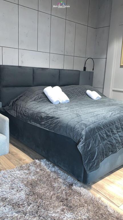 Apartment For Rent 1+1 Near Dry Lake (ID B2101093) Tirana