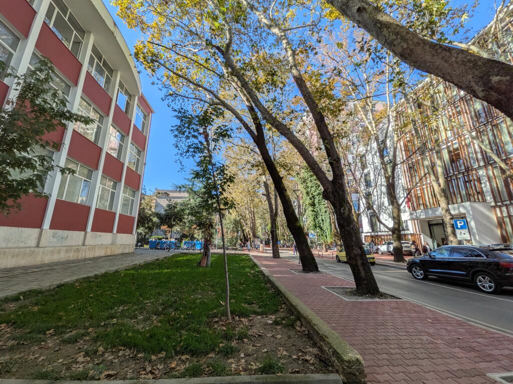 Business premises for rent with an area of 292m/2, at the Artistic High School!