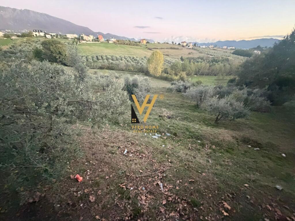 SHITE TOKE ARE 11.500 M2 TE RRUGA E DAXHIT, FARKE 2.000.000 EURO