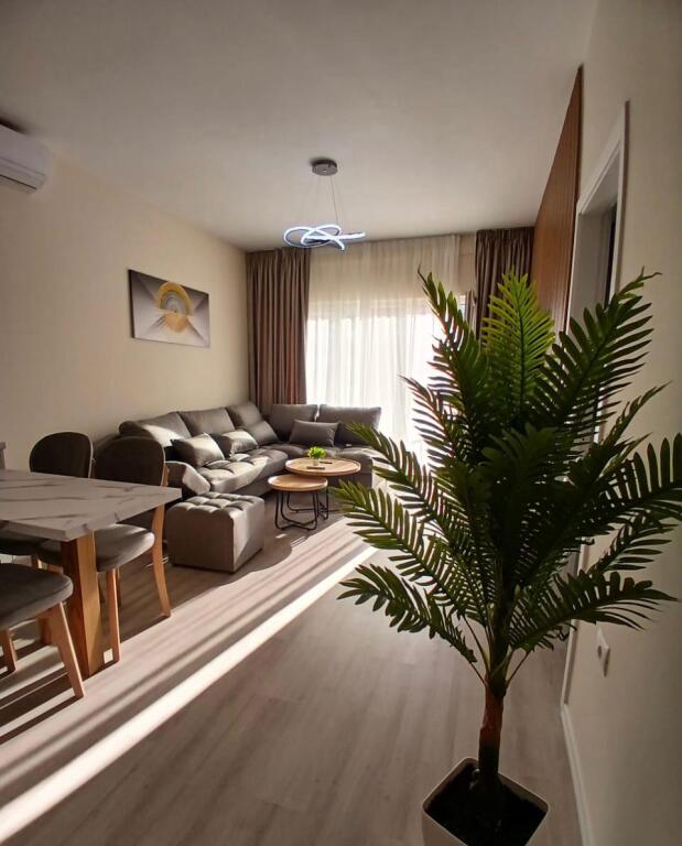 Jepet Apartament Me Qera, Ne Zog Te Zi