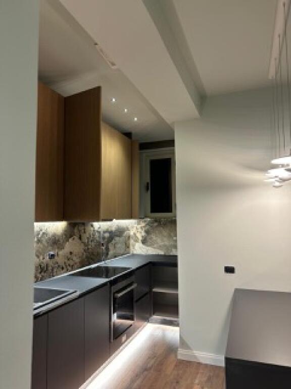 Luxurious 1+1 penthouse newly furnished modern for rent in Yzberisht