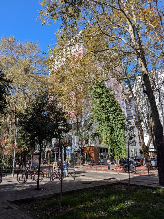 Business premises for rent with an area of 292m/2, at the Artistic High School!