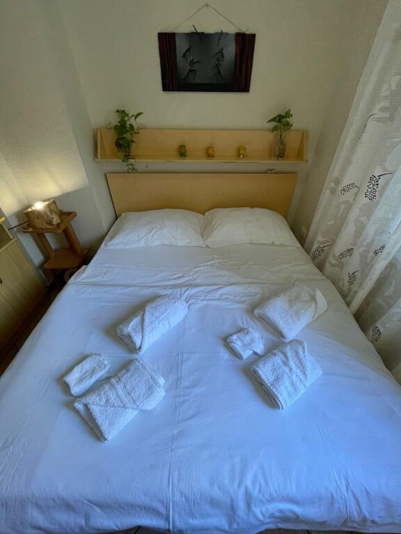 Jepet me qera apartament 1+1, Brenda Pazarit te ri