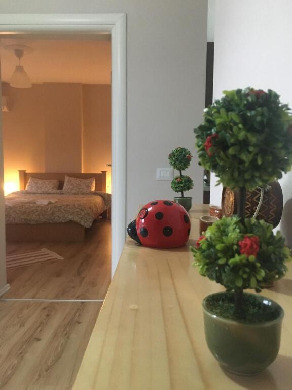 Jepet me Qira Hotel Boutique në Zemër të Korçës !