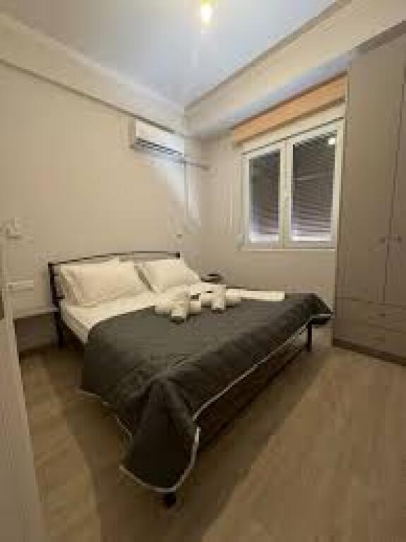 Villa for Rent 1+1 Near Durres Street (ID BV22514) Tirana