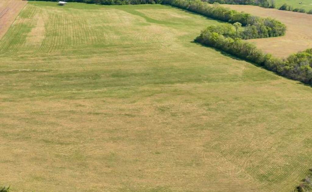 Ofrojm disa Ospsionesh Tokash me çerifikat pronësie për Shitje në Mëzez.