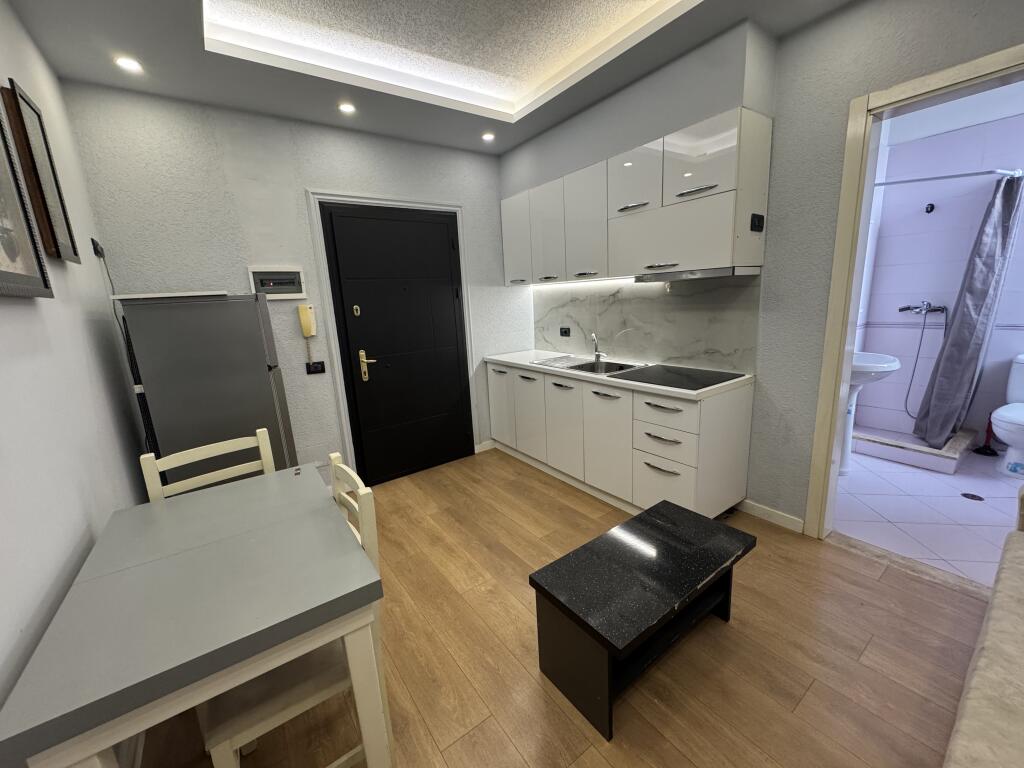 Apartment 1+1 for rent at the Prosecutor's Office