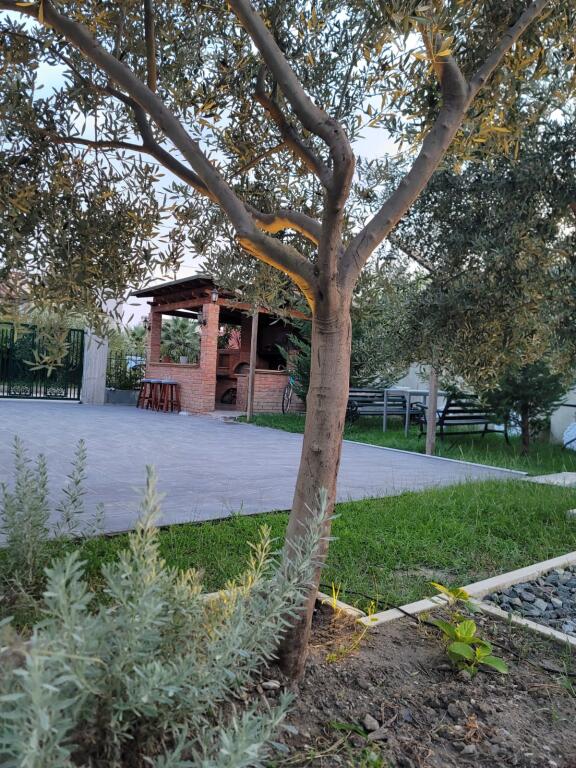 JEPET KATI 1 I NJE VILE PRIVATE PLAZH 350 EURO