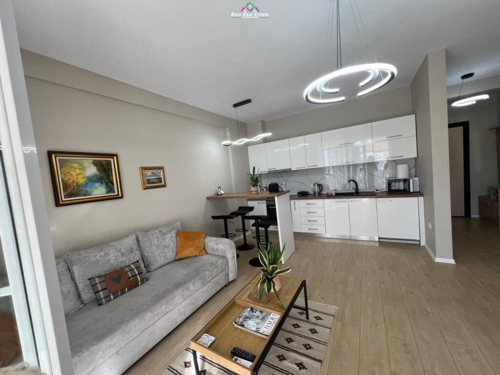 Appartamento In Affitto 1+1 vicino alla Scuola di Balletto (ID B2101212) Tirana