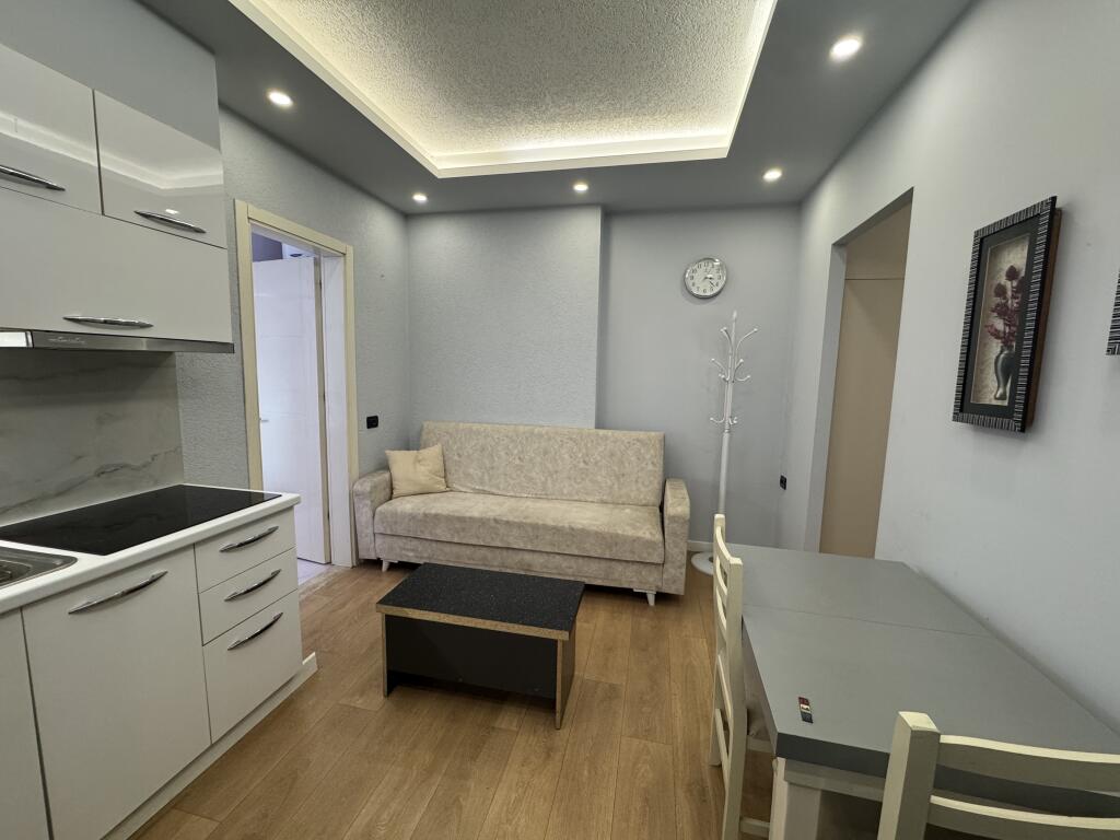 Apartment 1+1 for rent at the Prosecutor's Office